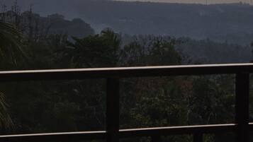A sunset view from a balcony with a railing, overlooking a forested landscape.