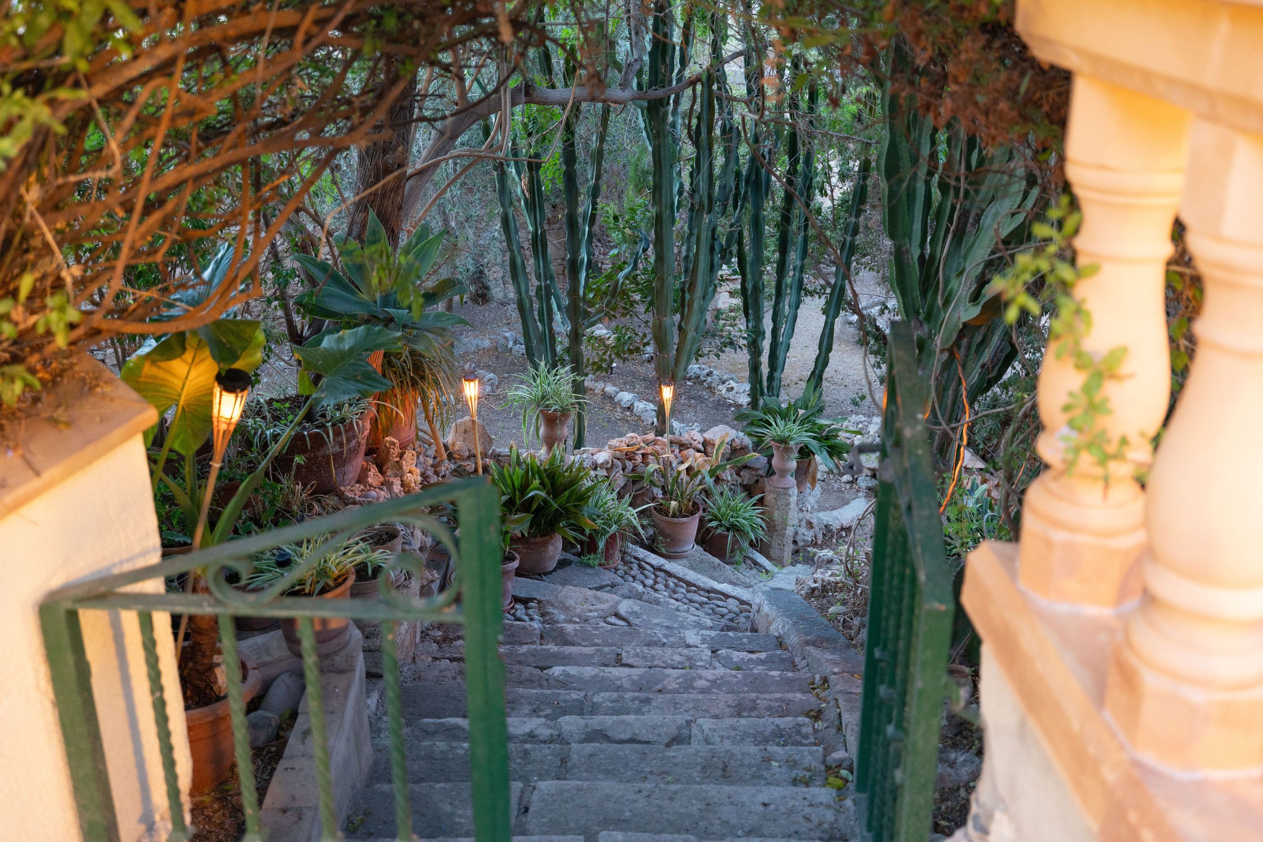 A stone staircase leading down to a garden area with various potted plants and a lantern.