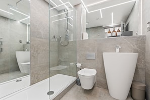 Buồng tắm vòi sen, máy sấy tóc, khăn tắm 