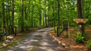 A forested trail with a signpost indicating directions.