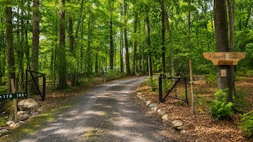 A forested trail with a signpost indicating directions.