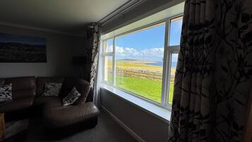 A living room with a brown leather sofa, a window with a view of a green field and a clear sky, and a patterned curtain.