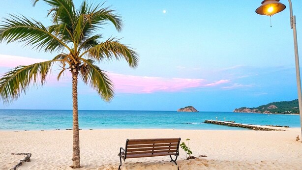 A beach with a palm tree, a bench, and a street lamp. - Reserva del Mar II Apartment - Cantamar SOHO -391A (Santa Marta)