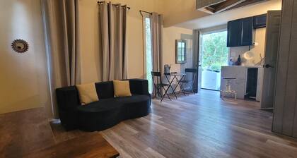 Cozy 1-bedroom cabin in charming San Antonio with AC