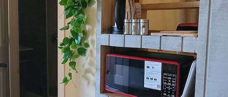 Cocina compacta con electrodomésticos integrados, un estante de madera y una planta en maceta.