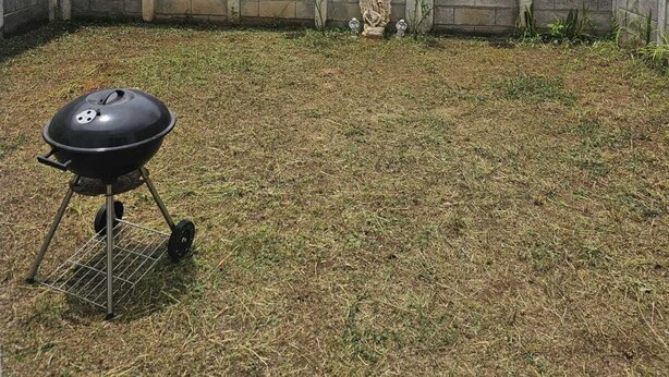 Un giardino sul retro con una griglia per barbecue, una statua e due vasi rossi sospesi.