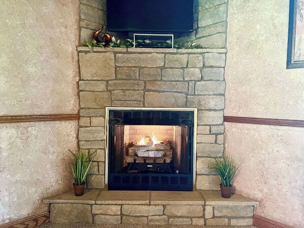 A stone fireplace with a television above it and two potted plants on either side.