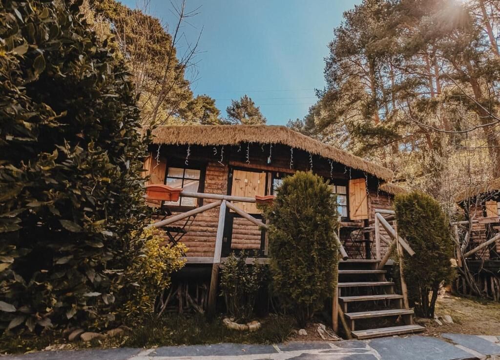 Uma cabana rústica de madeira com telhado de palha, cercada por vegetação densa.