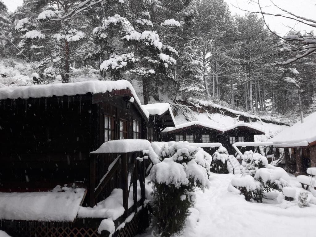 Chalet clásico, vistas al jardín