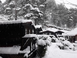 Una cabaña de madera con techo nevado y árboles circundantes.