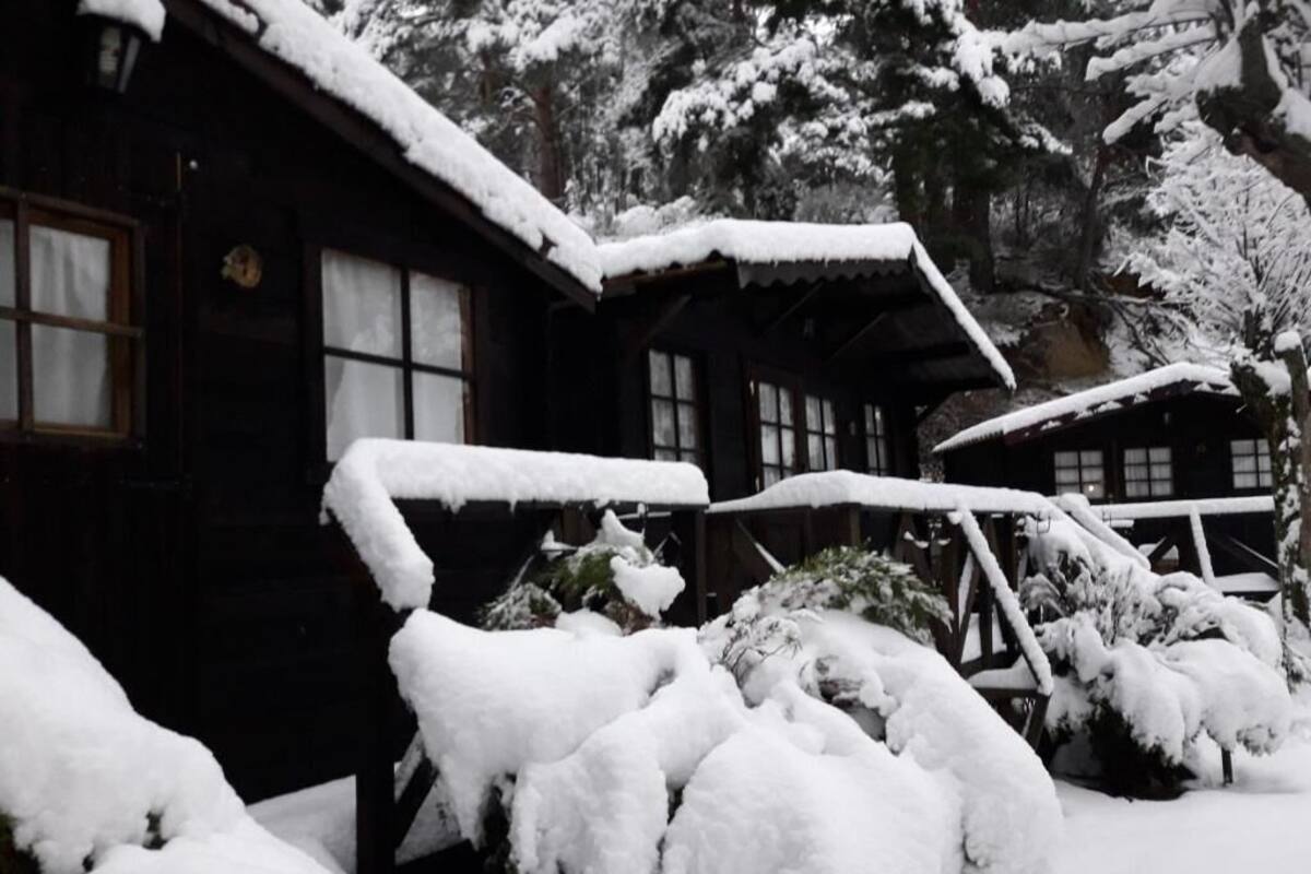 Classic-Chalet, Gartenblick