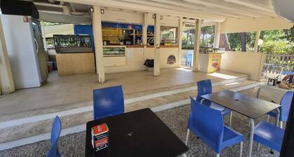 B&B Viareggio