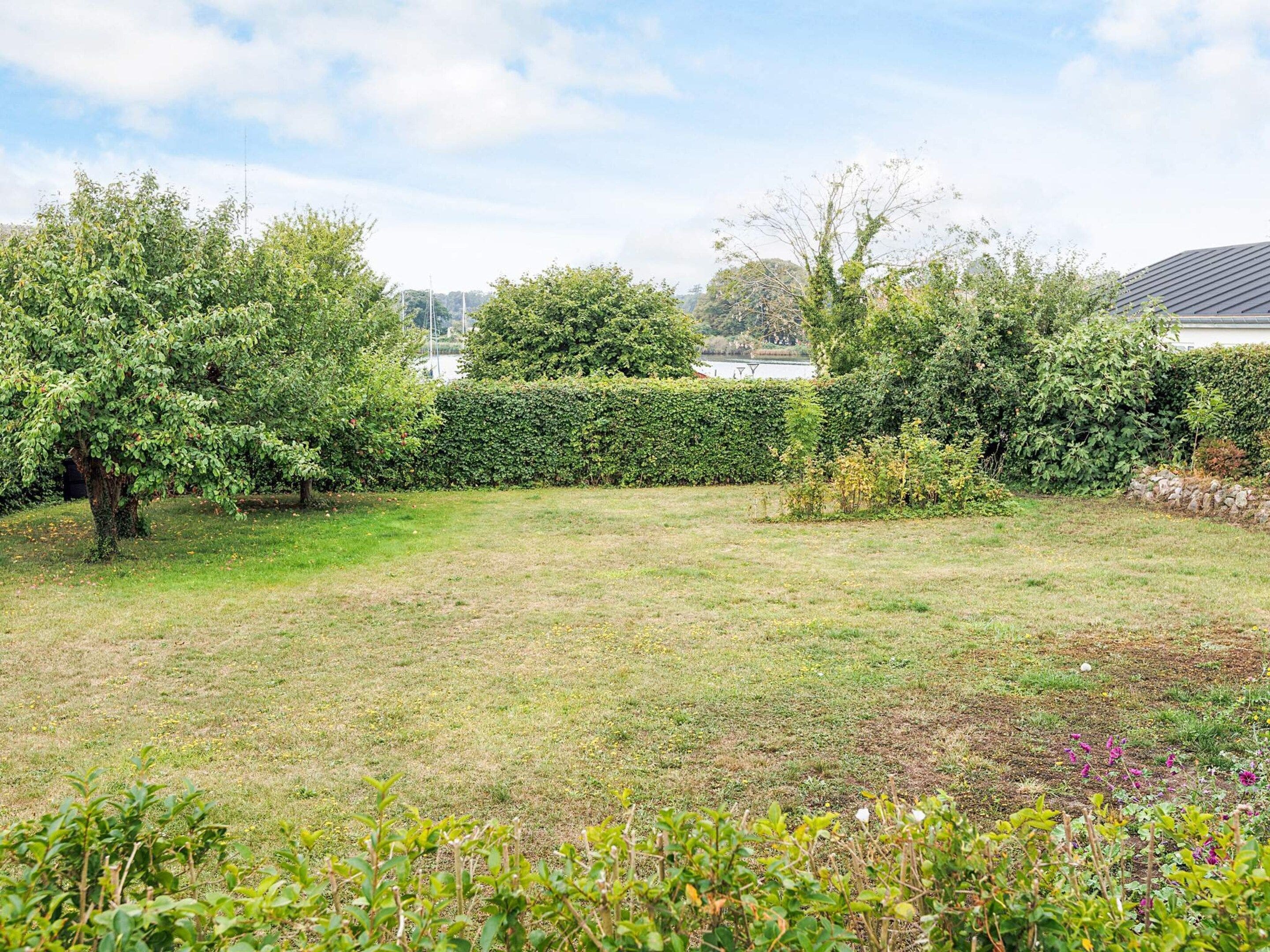 A grassy backyard with a variety of trees and shrubs.