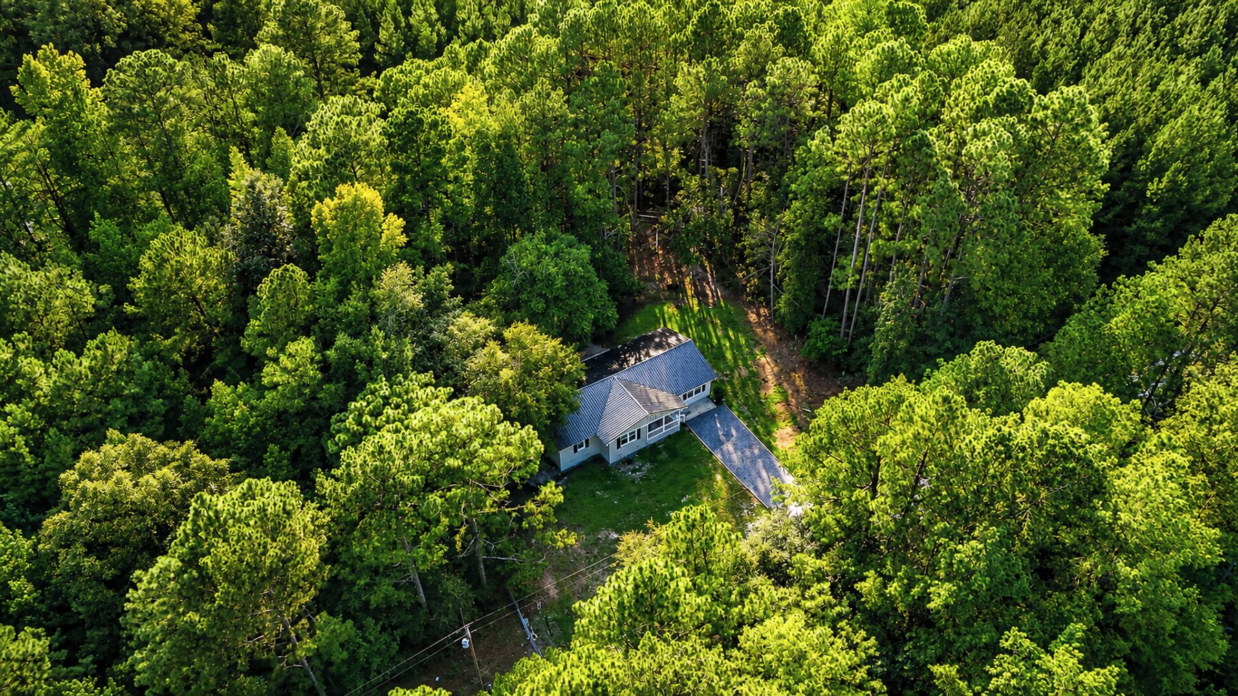 An aerial view of a house surrounded by dense forest.