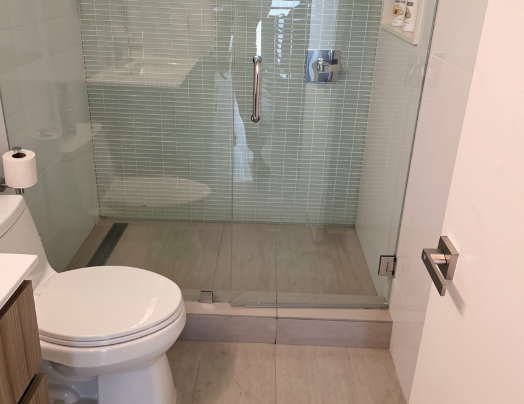 Kylpyhuone, jossa on wc, lasinen suihkuseinä ja wc-paperiteline.