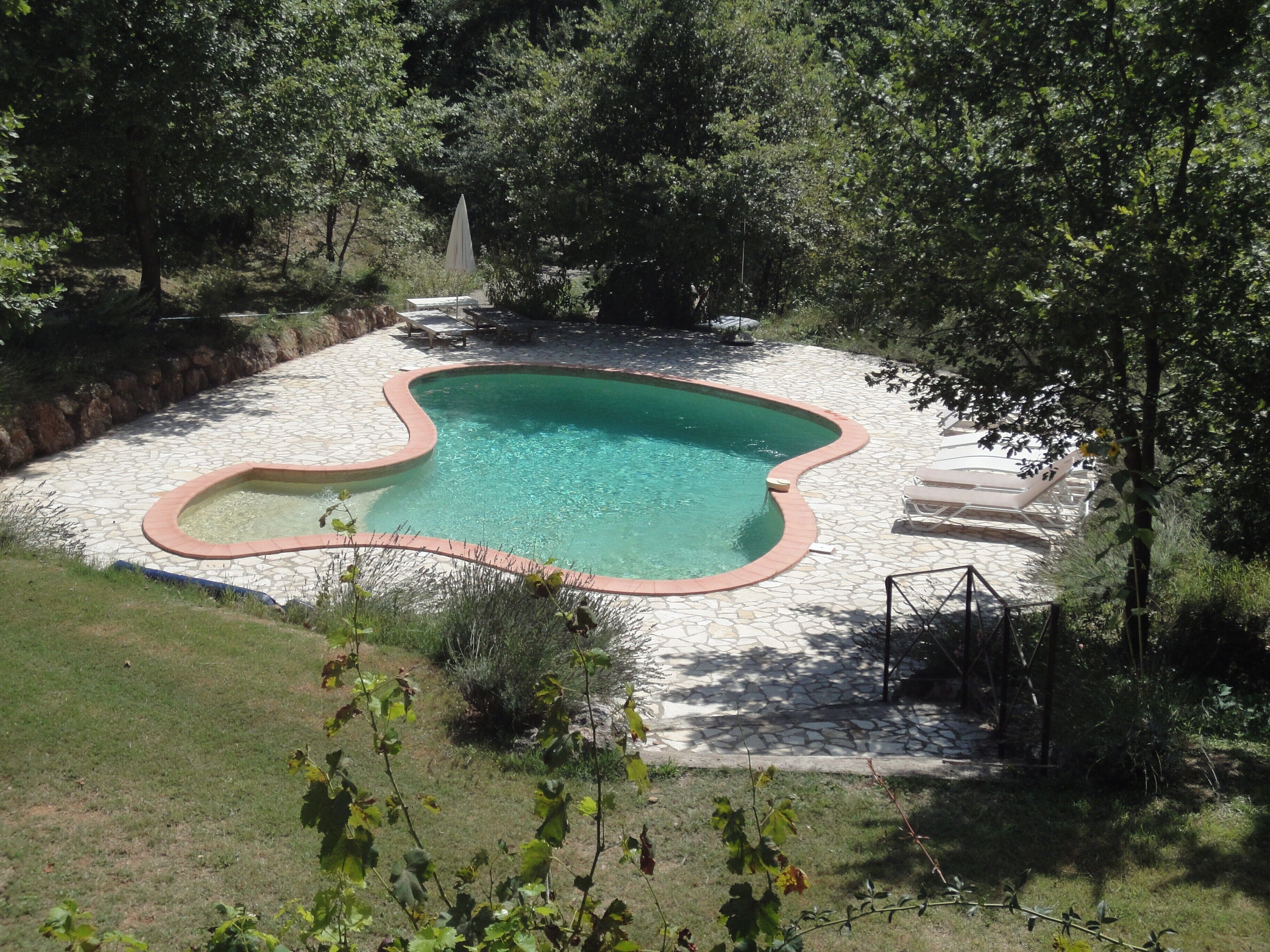 A swimming pool with a stone deck, surrounded by trees and a grassy area.