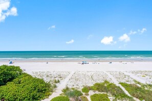 Ein Strand mit blauem Himmel, ruhiger See und spärlicher Vegetation.