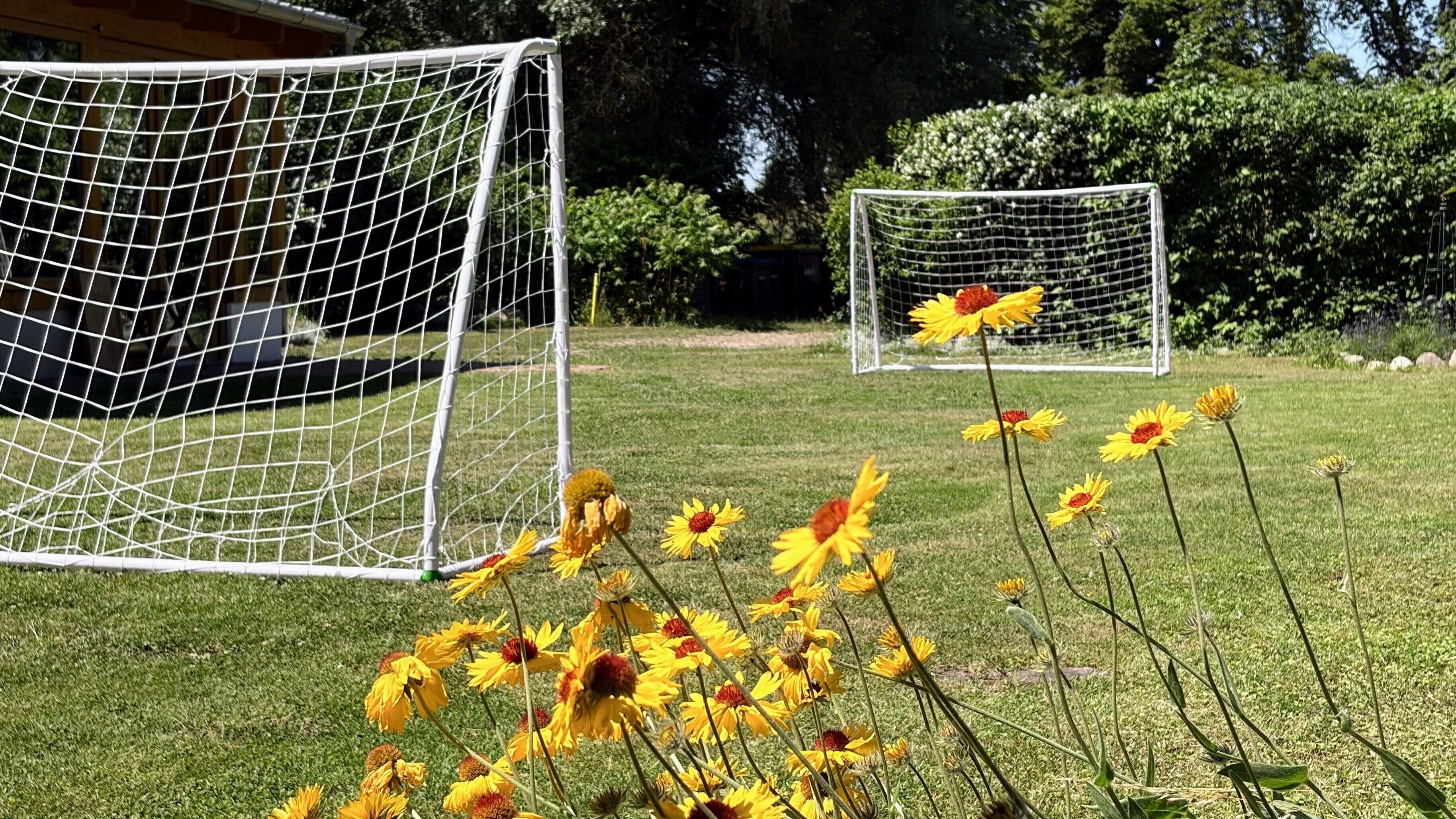 Zwei Fußballtore auf einer grünen Wiese mit gelben Blumen im Vordergrund.