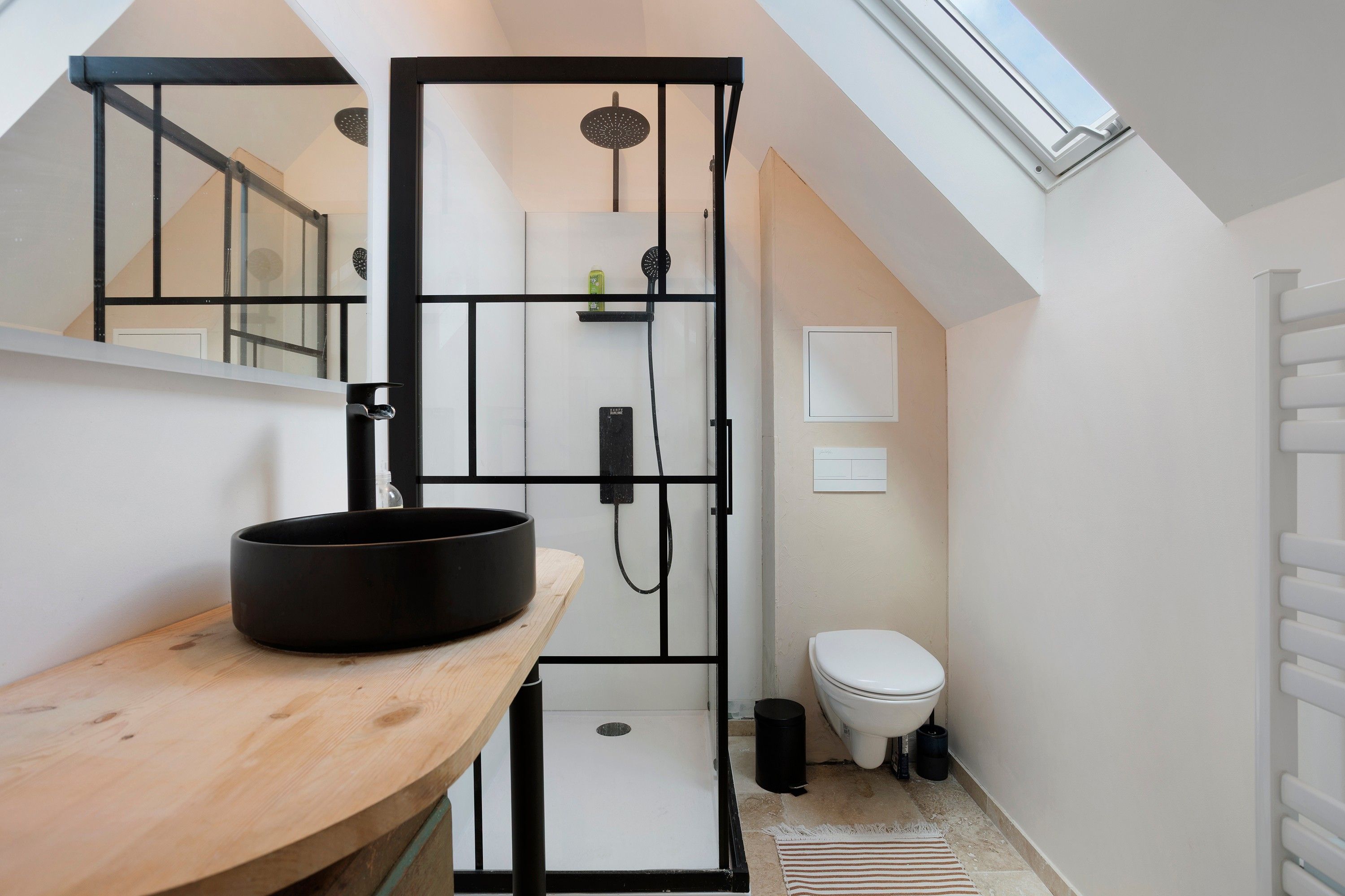 A compact bathroom with a skylight, a black sink, a white toilet, and a shower enclosure.