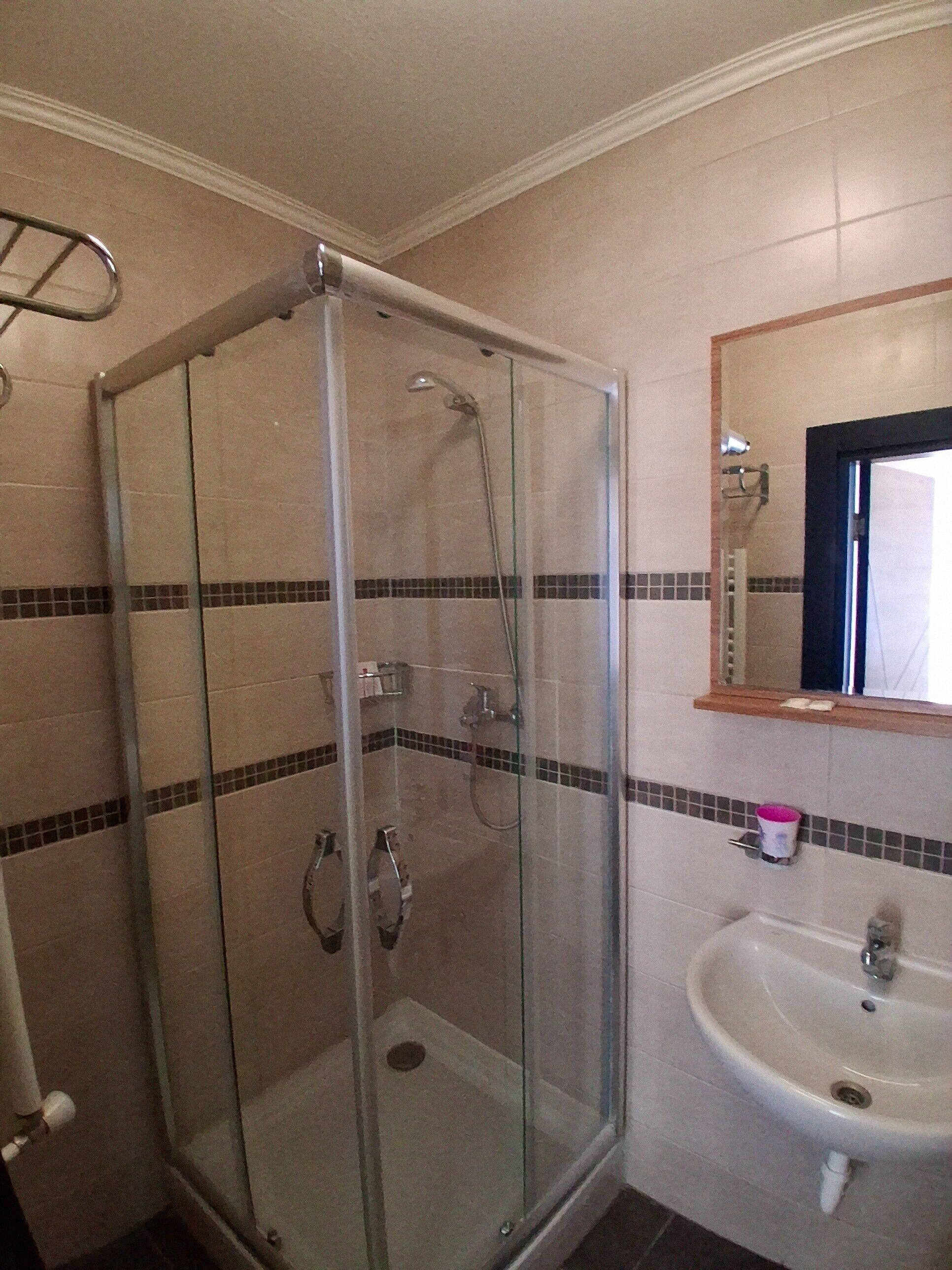A glass-enclosed shower with a handheld showerhead, a sink with a mirror above it, and a tiled wall with a decorative border.