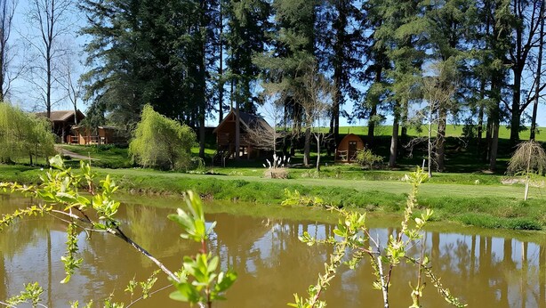 A pond with trees and a wooden structure in the background.