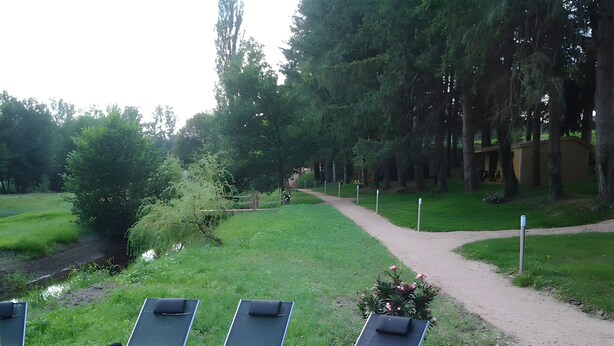 A swimming pool with lounge chairs, a dirt path, and a grassy area with trees.