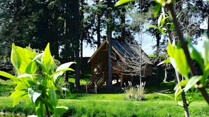 A wooden cabin with a staircase leading to the entrance, surrounded by lush greenery and a calm pond.