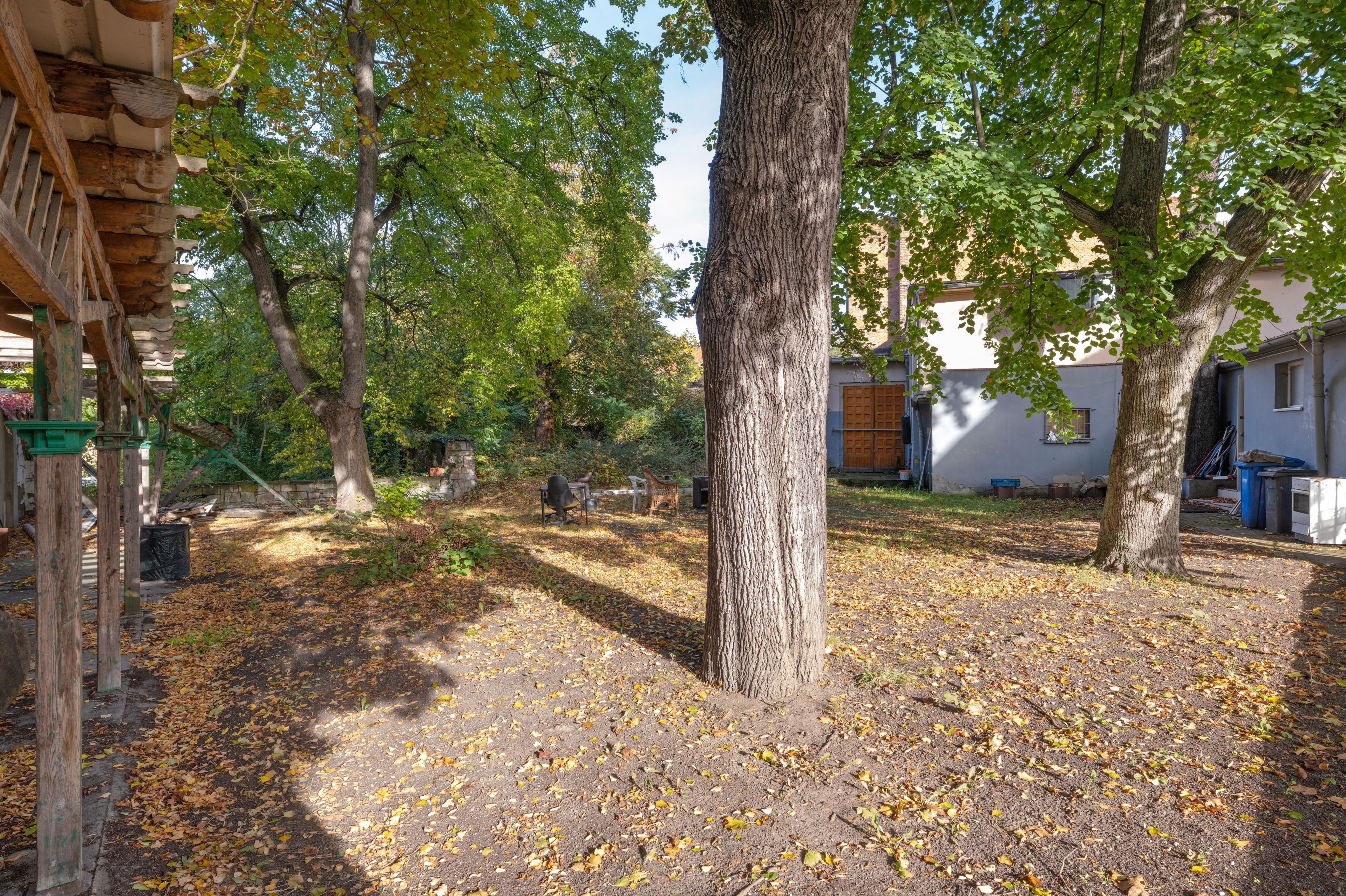 Une cour intérieure agrémentée d’arbres, une pergola en bois et un bâtiment en arrière-plan.