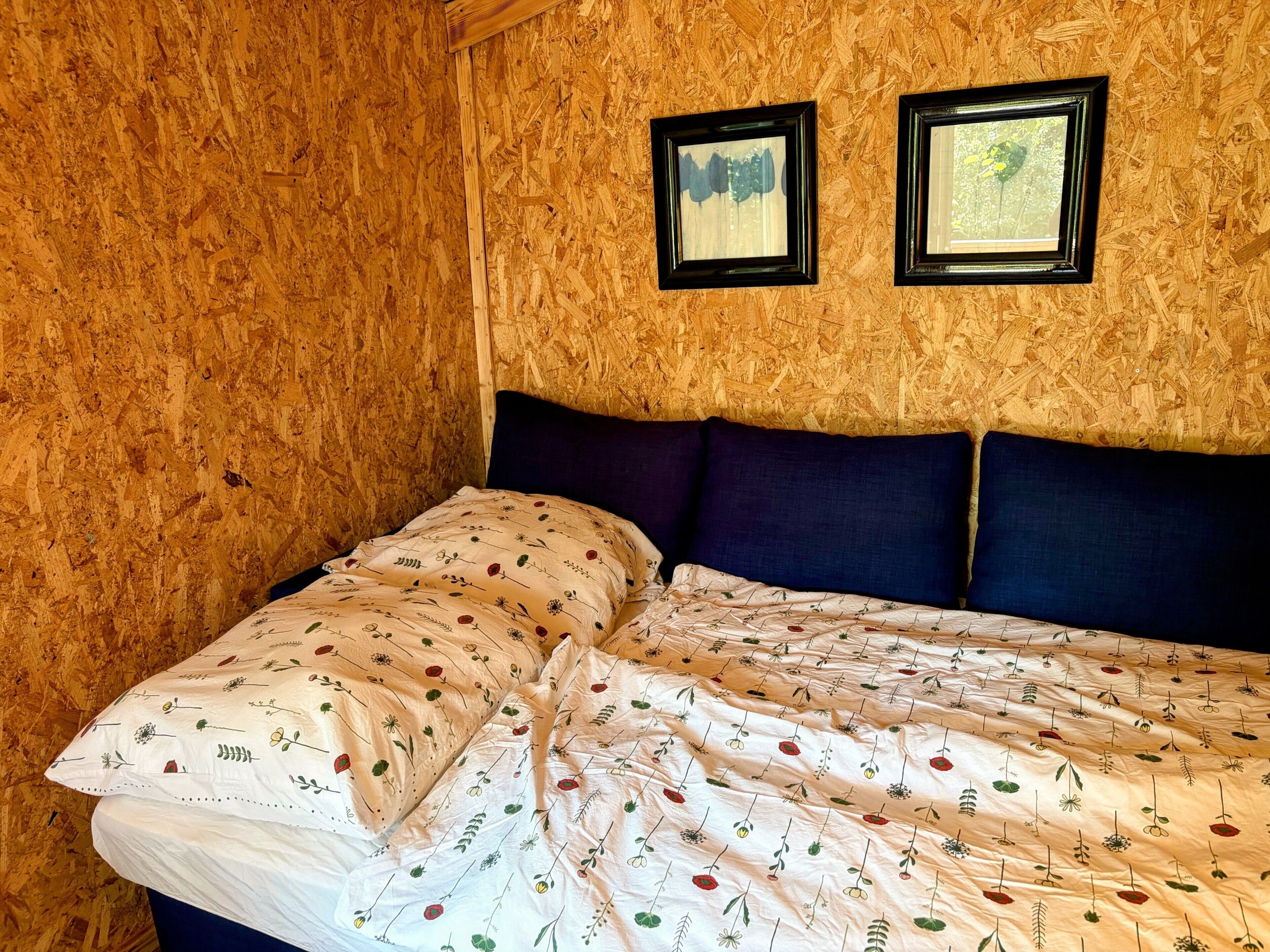 WiFi, bed sheets