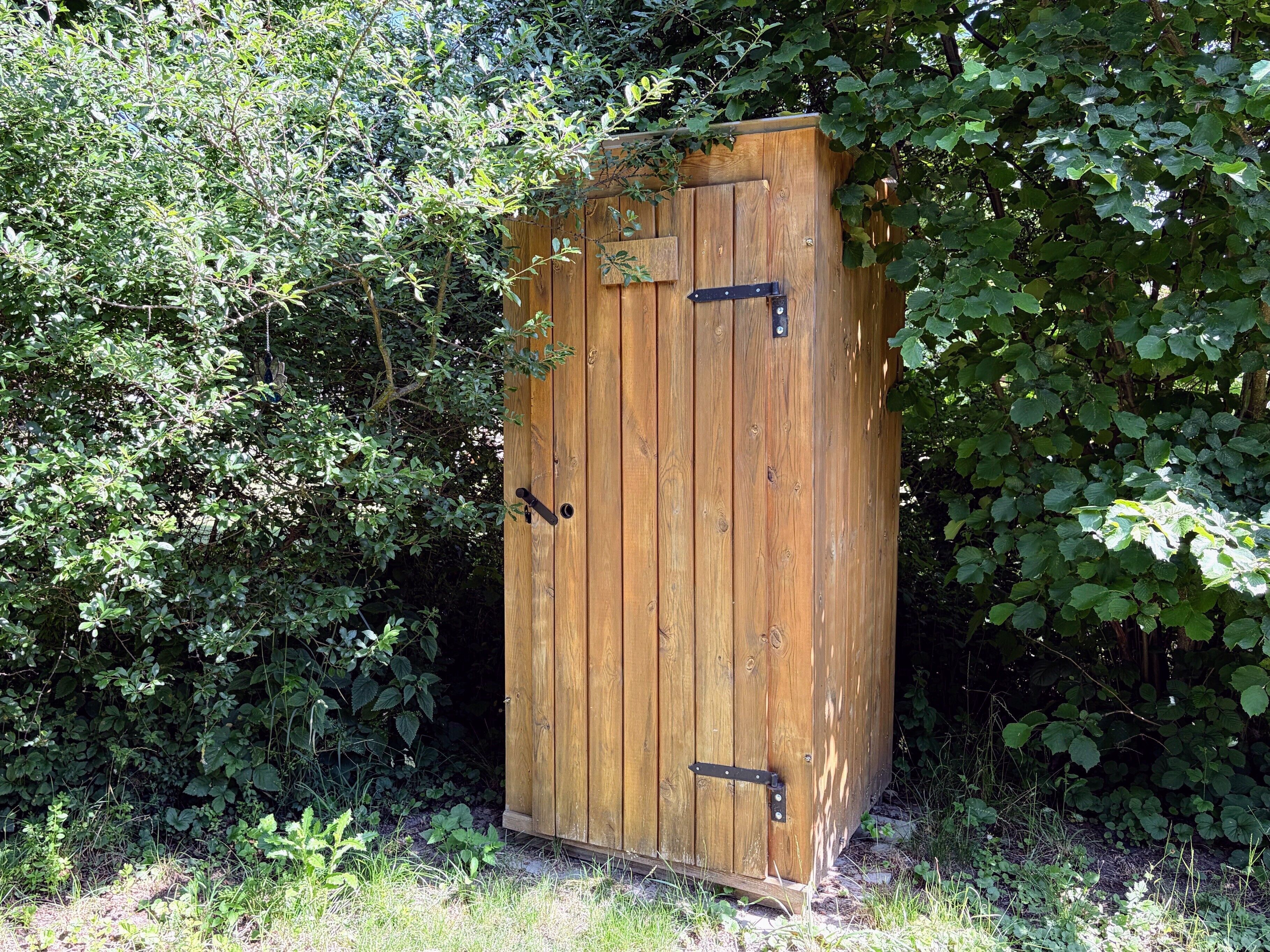 Een houten constructie met een deur en twee metalen handgrepen, omgeven door weelderige begroeiing.
