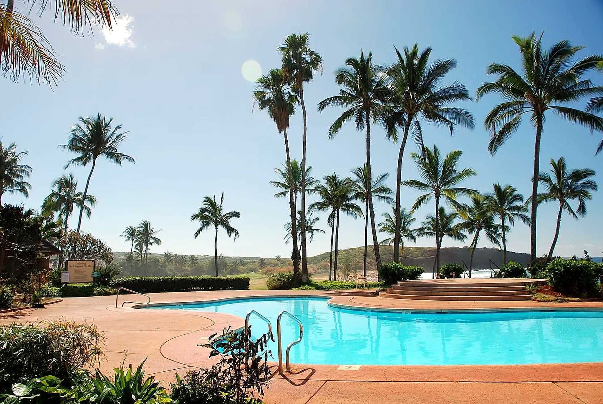 A swimming pool surrounded by palm trees and a clear sky.