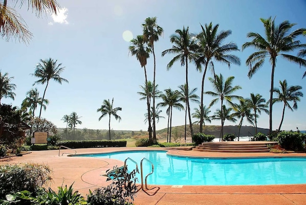 A swimming pool surrounded by palm trees and a clear sky.
