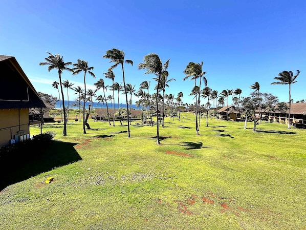 Property grounds - Oceanfront Studio Loft at Kepuhi Beach Resort (Maui County)