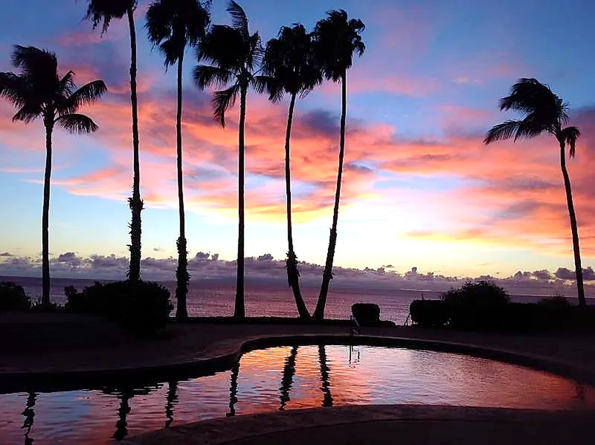 A sunset view with palm trees and a calm body of water.