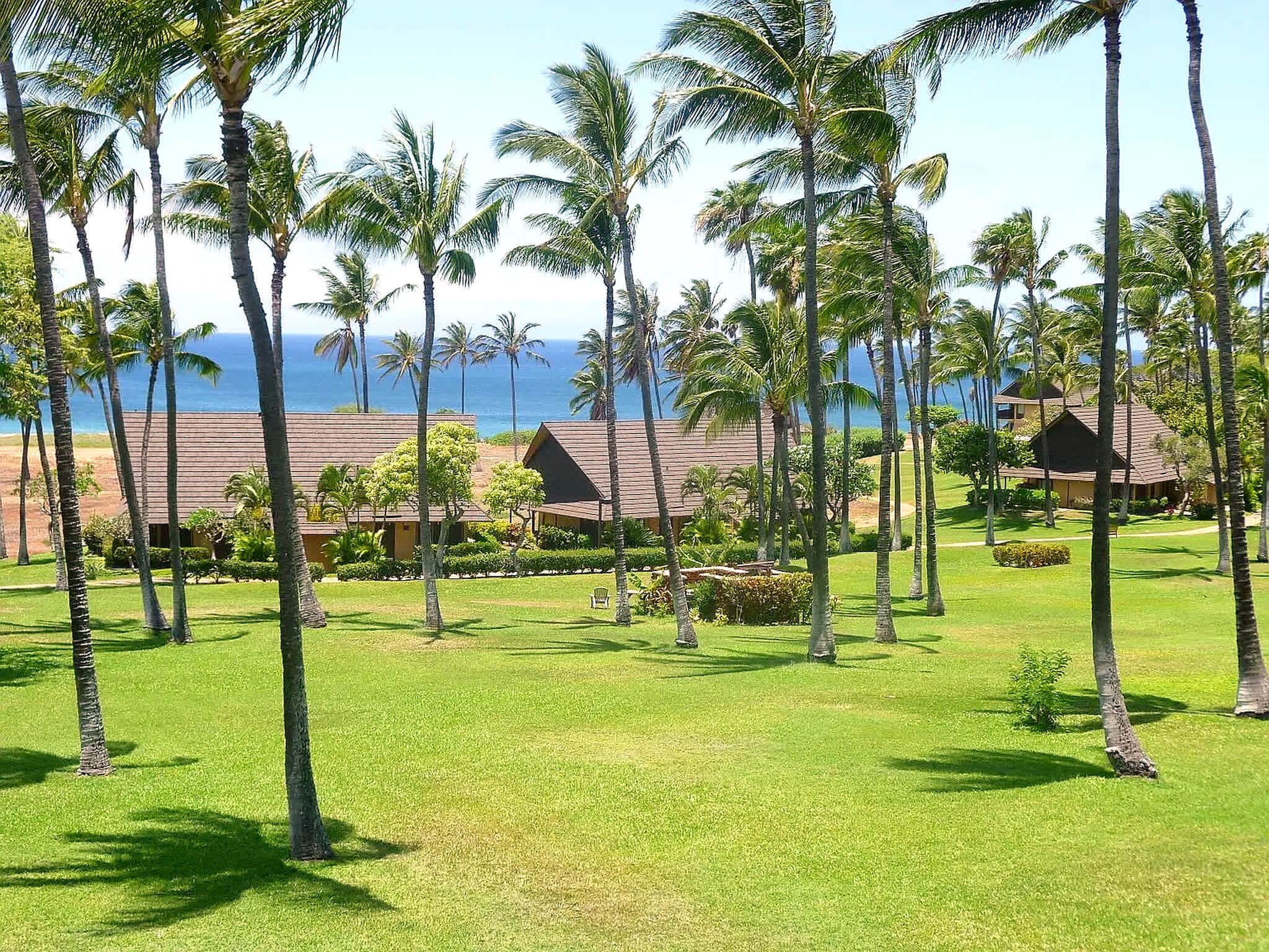 A resort with palm trees, a beach, and ocean views.