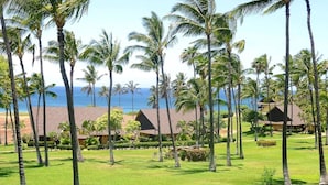 A resort with palm trees, a beach, and ocean views.