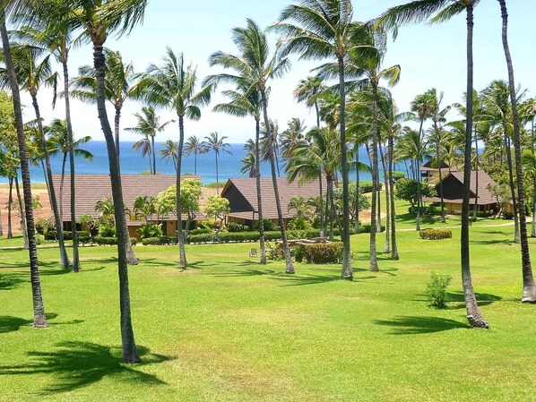 A resort with palm trees, a beach, and ocean views.