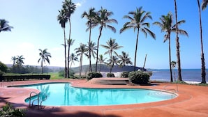 A pool area with a clear view of the ocean and palm trees.