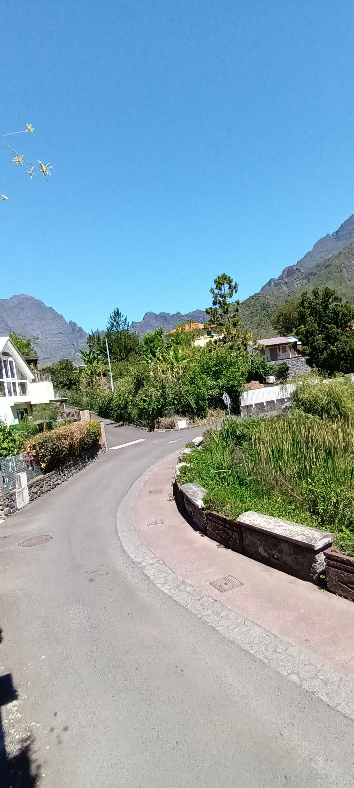 Una carretera sinuosa con acera, rodeada de vegetación y casas, con montañas al fondo.