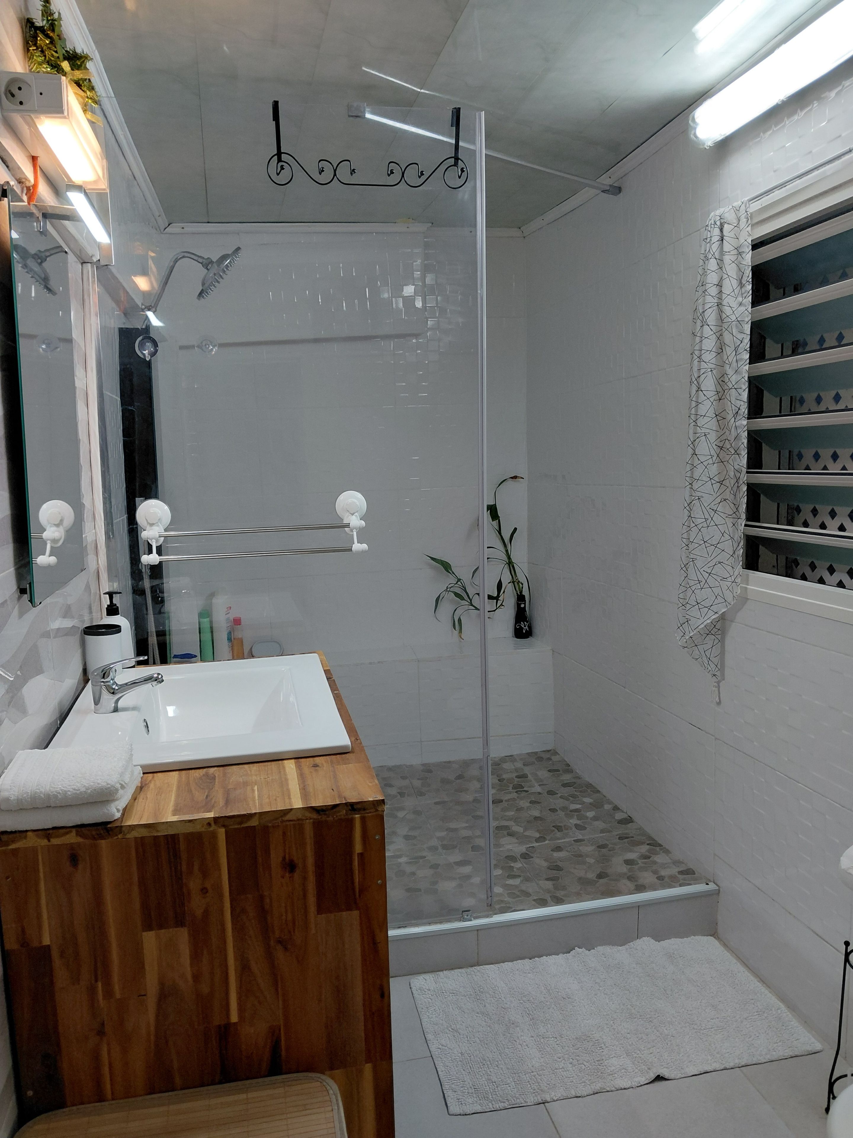 Shower, hair dryer, towels