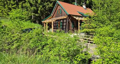 Lärchenhütte Holiday Home with Infrared Sauna, Terrace, Garden – Sleeps 8
