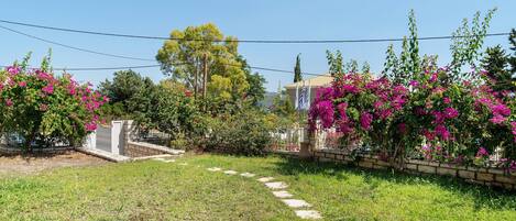 A garden with a paved path, flowering plants, and a stone wall.