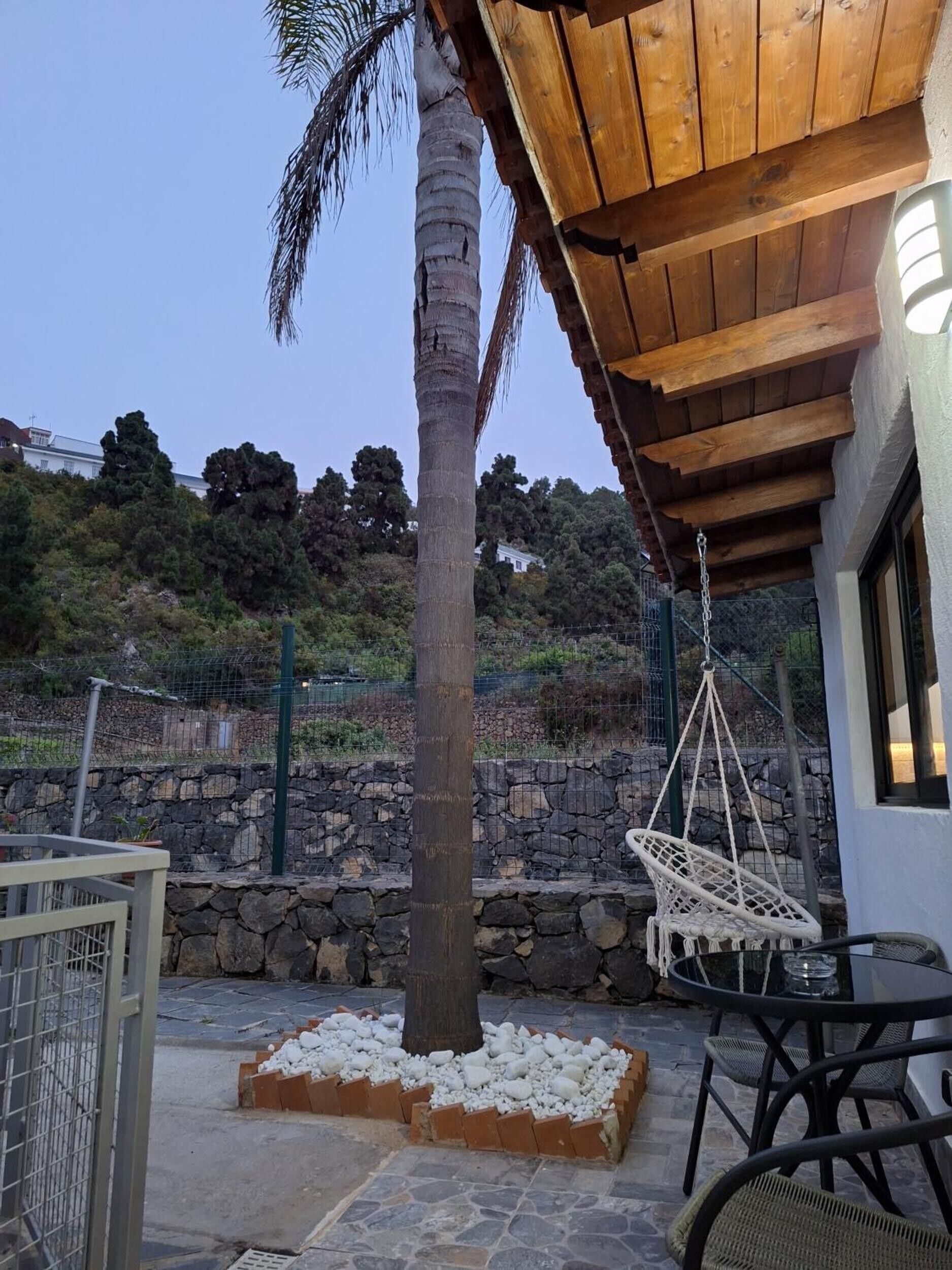 A patio area with a palm tree, a hanging chair, and a table.