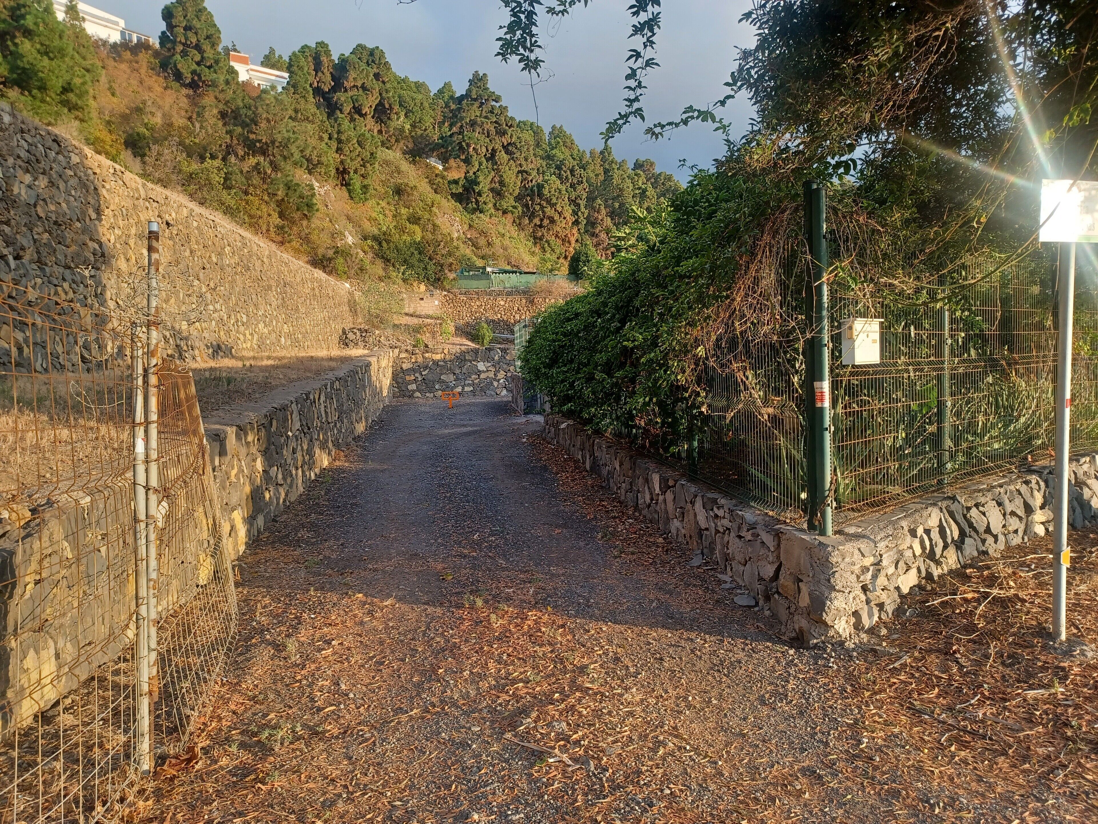 منوع
