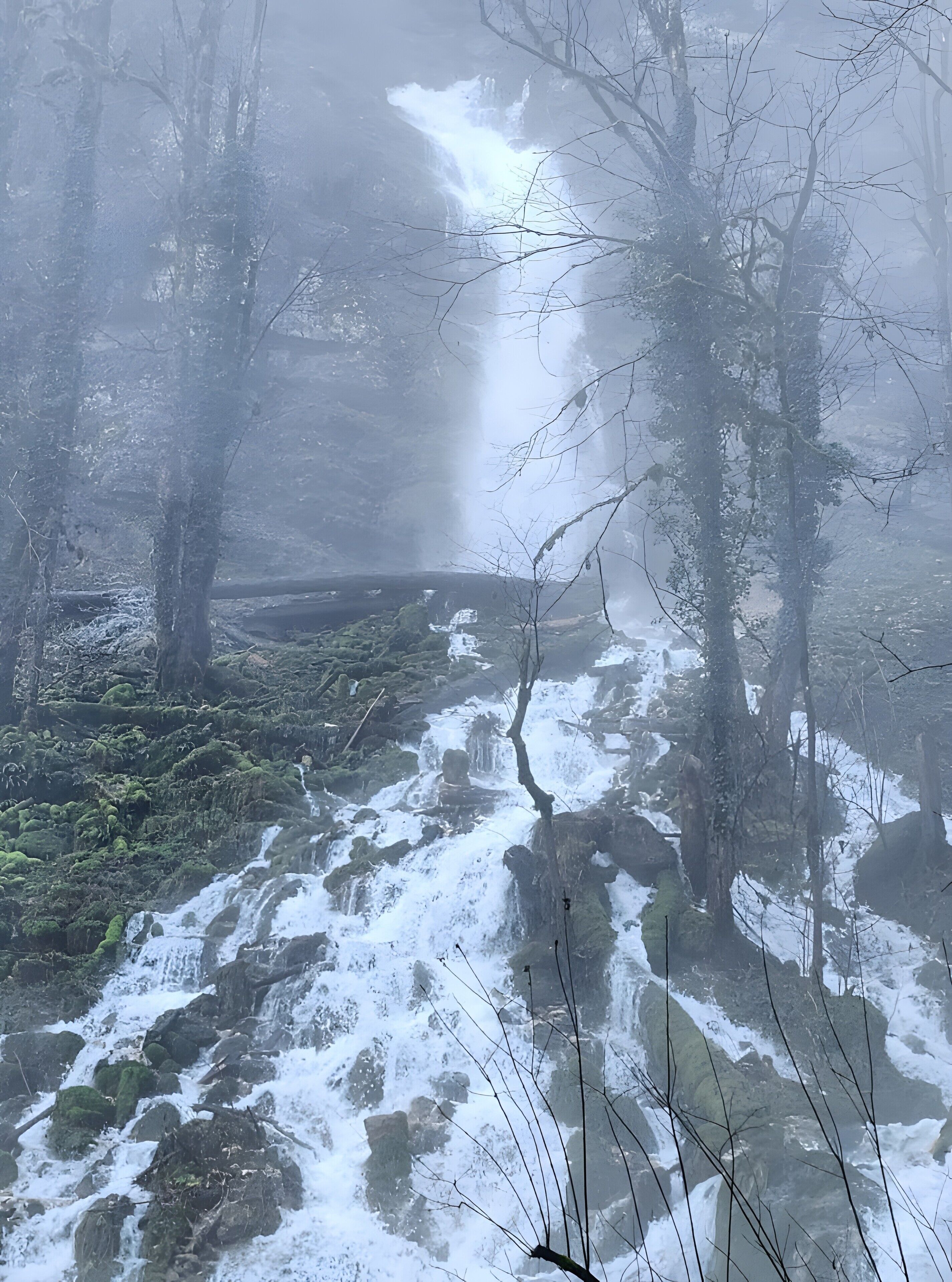 A forested area with a waterfall and a stream.