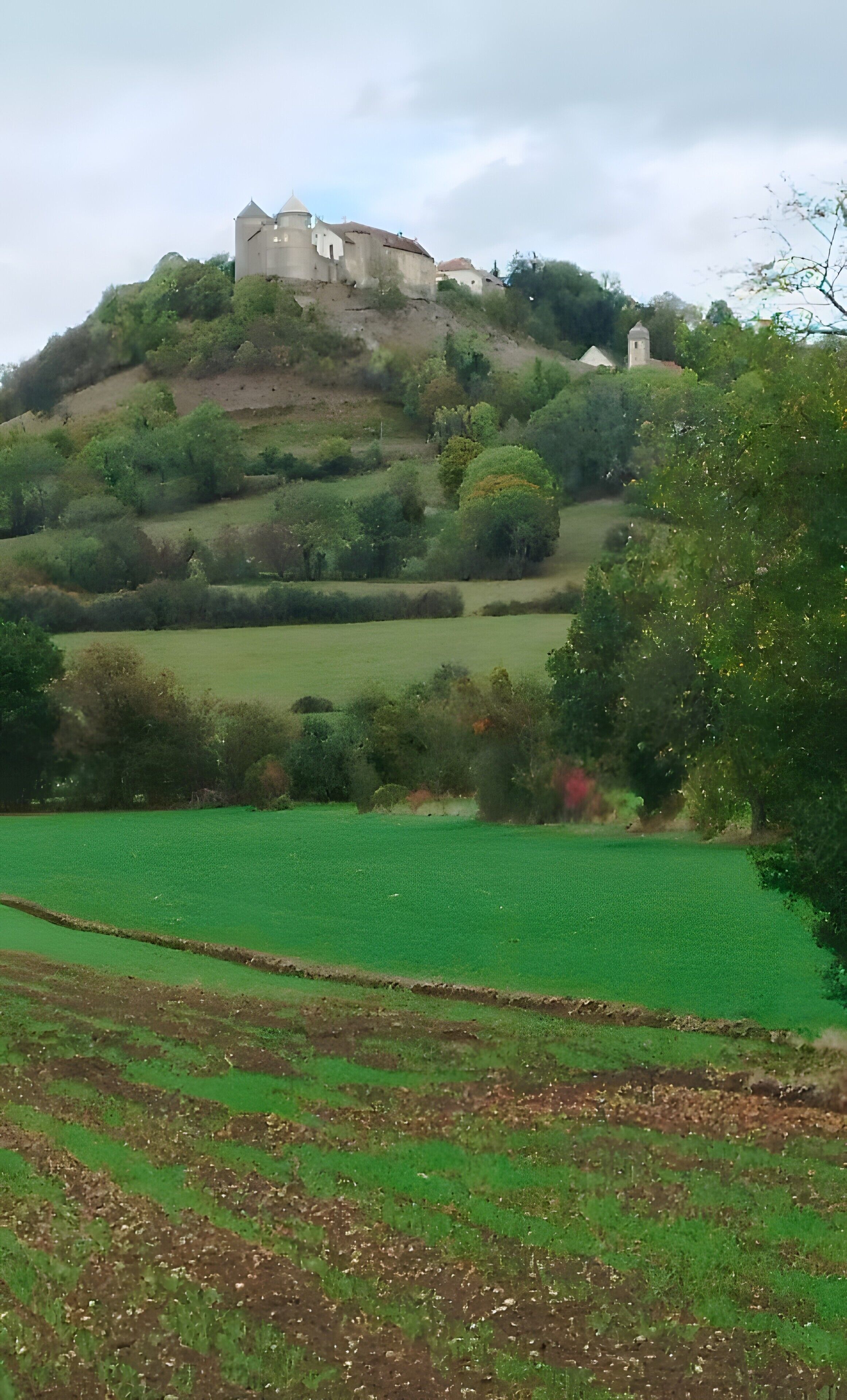 Un château perché sur une colline, entouré de verdure et de champs.