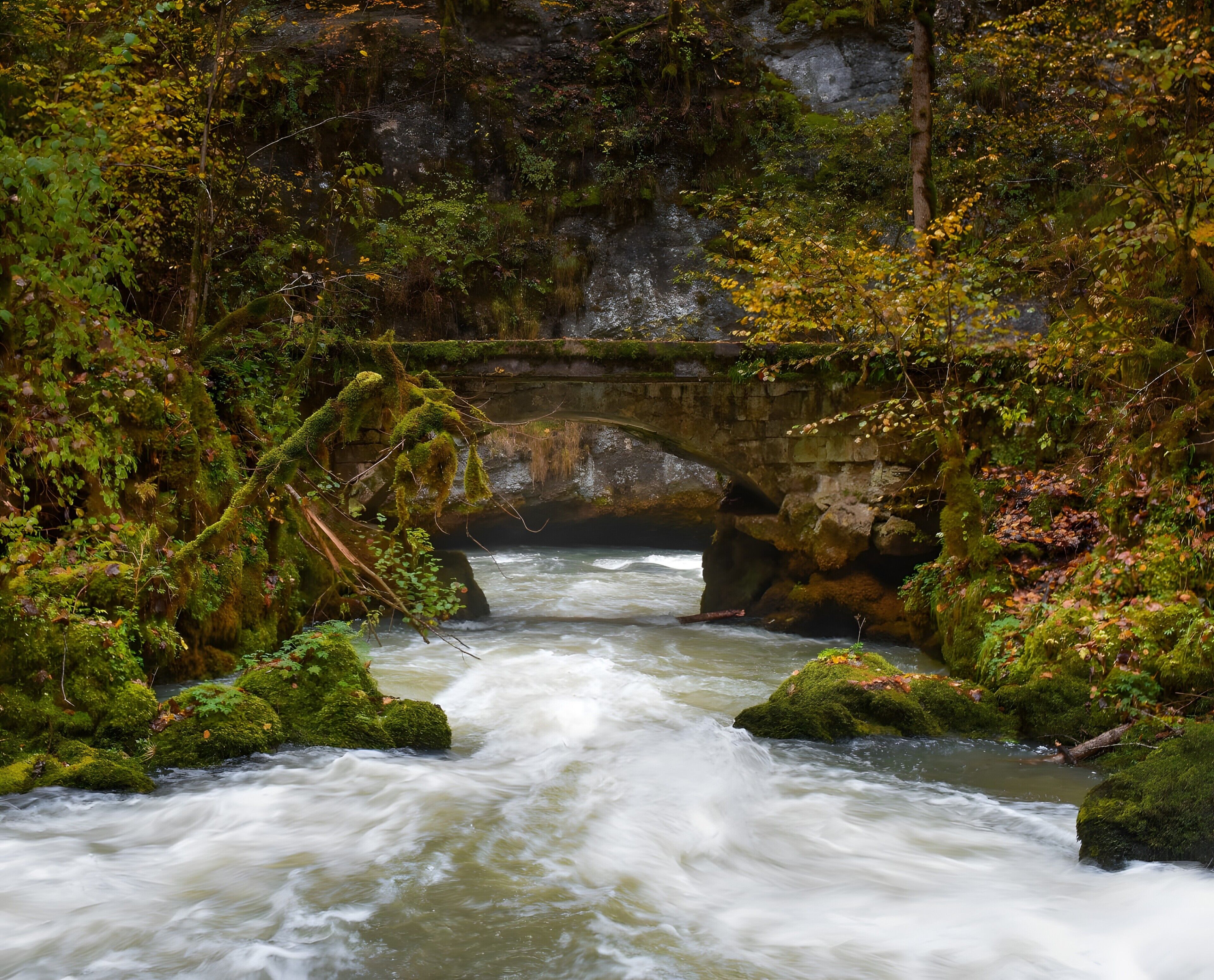 A river flowing under a stone bridge surrounded by lush greenery.