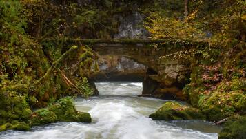 A river flowing under a stone bridge surrounded by lush greenery.