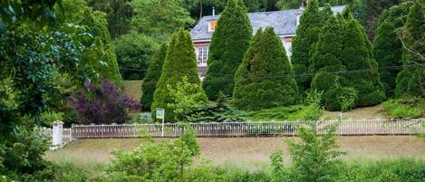 Un quartier résidentiel avec une maison entourée d’une clôture blanche, d’une végétation luxuriante et de différentes espèces d’arbres.