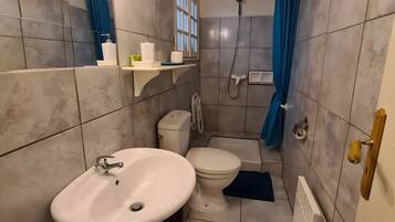 A bathroom with a sink, toilet, shower, and a mirror.